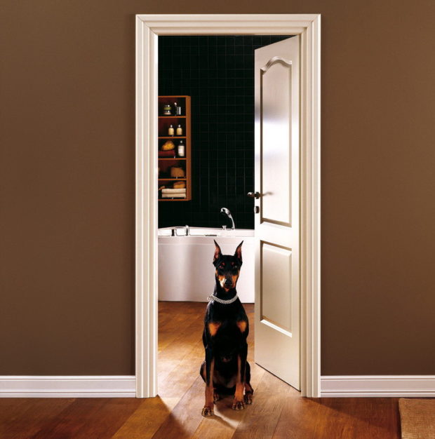 Doštičky pre interiérové ​​dvere: 5 tipov na výber doštičiek