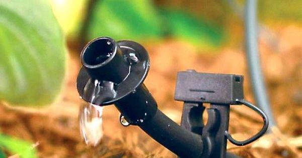 5 dicas para fazer sua própria irrigação por gotejamento