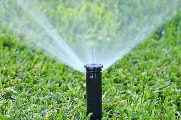8 Tipps für die Organisation eines Bewässerungssystems im Land