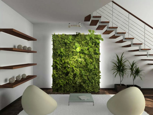 Phong cách sinh thái trong nội thất: 10 đề xuất để tạo + ảnh