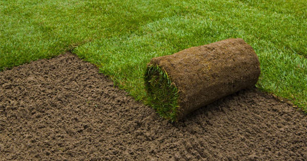 11 savjeta za polaganje vlastitog travnjaka Uređaj za kotrljanje travnjaka