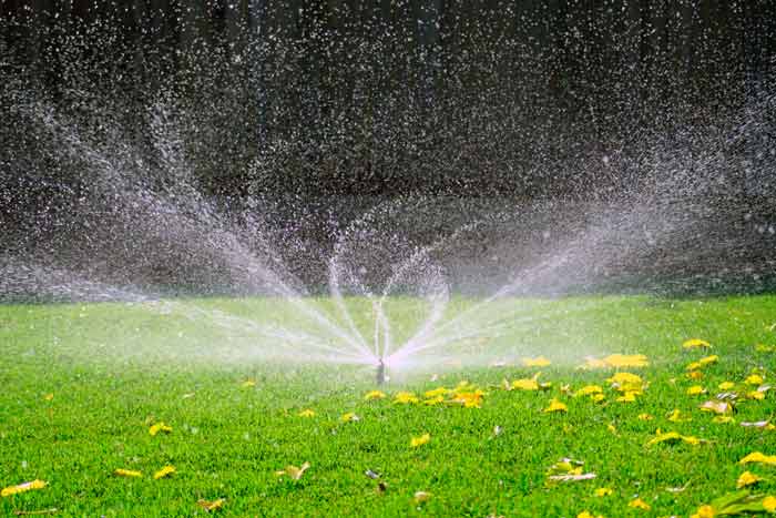 6 Tipps zum Bewässern des Rasens: Ausstattung, Häufigkeit, Normen