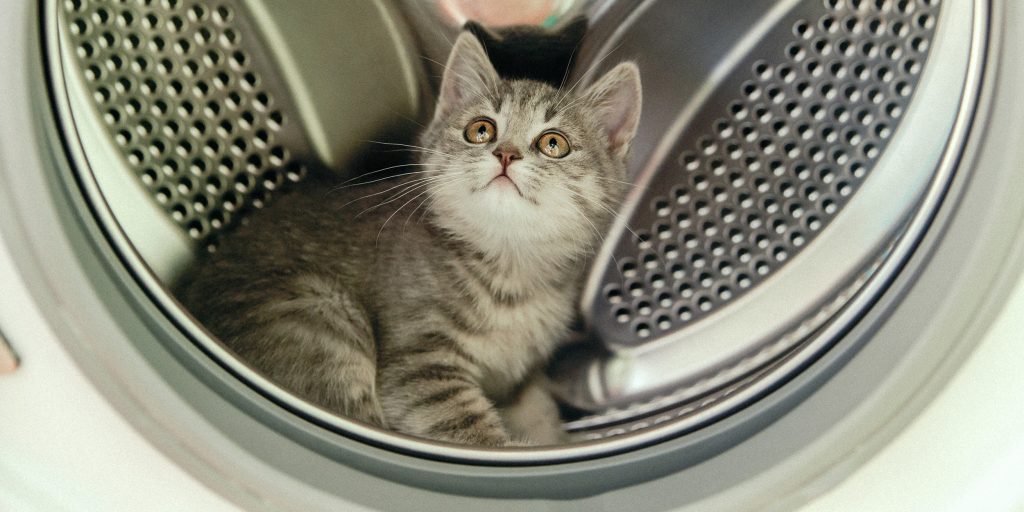7 módszer a mosógép tisztítására a szaktól, szennyeződésektől és a pikkelytől
